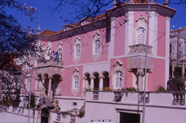 C. Rosada c.jpg.jpg